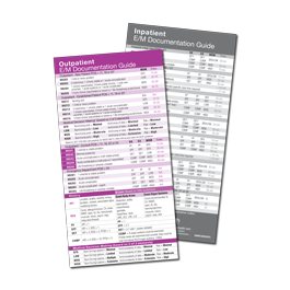 2024 E/M Documentation Quick Reference Card Set (10 pack)